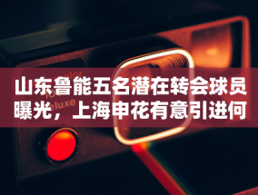 三安光电 2024 年前三季度净利润增长 43.21%，董事长林志强和总经理林科闯出席业绩公告发布会