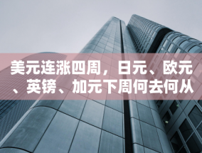 江苏省赛艇队来扬集训备战粤港澳全运会