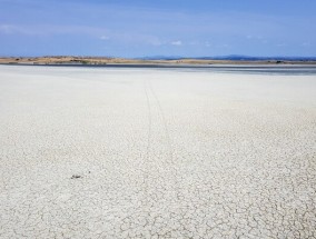 干涸的湖泊和干渴的树木:在遭受干旱袭击的希腊，水车正在维持庄稼的生存