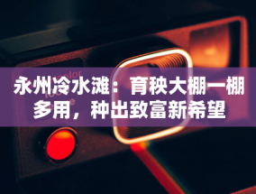 湖北大学对教师梁艳萍作出处理决定：取消研究生导师资格，停止教学工作