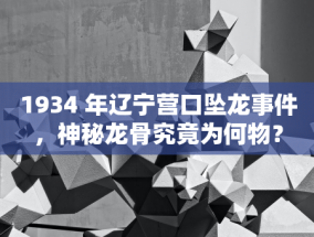 河南省青少年柔道锦标赛落幕 南阳市代表队载誉而归