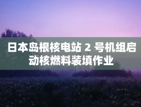 美股高波动成常态？AI 动力十足！AMD、谷歌盘后股价缘何背道而驰？BP 业绩不佳，回购规模能否持续？