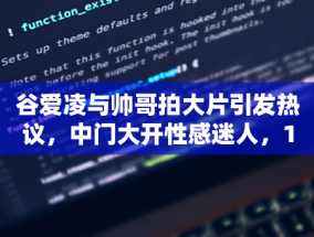 奥地利大选结果:极右翼自由党获胜，接下来会发生什么?